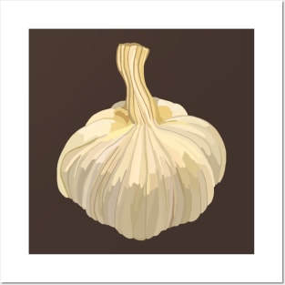 White Garlic Bulb Posters and Art